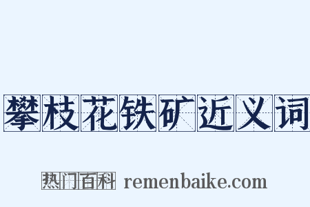 攀枝花铁矿近义词是什么意思的图片
